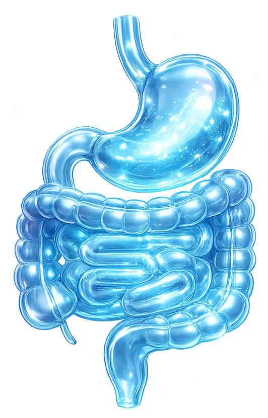 Gastrointestinal