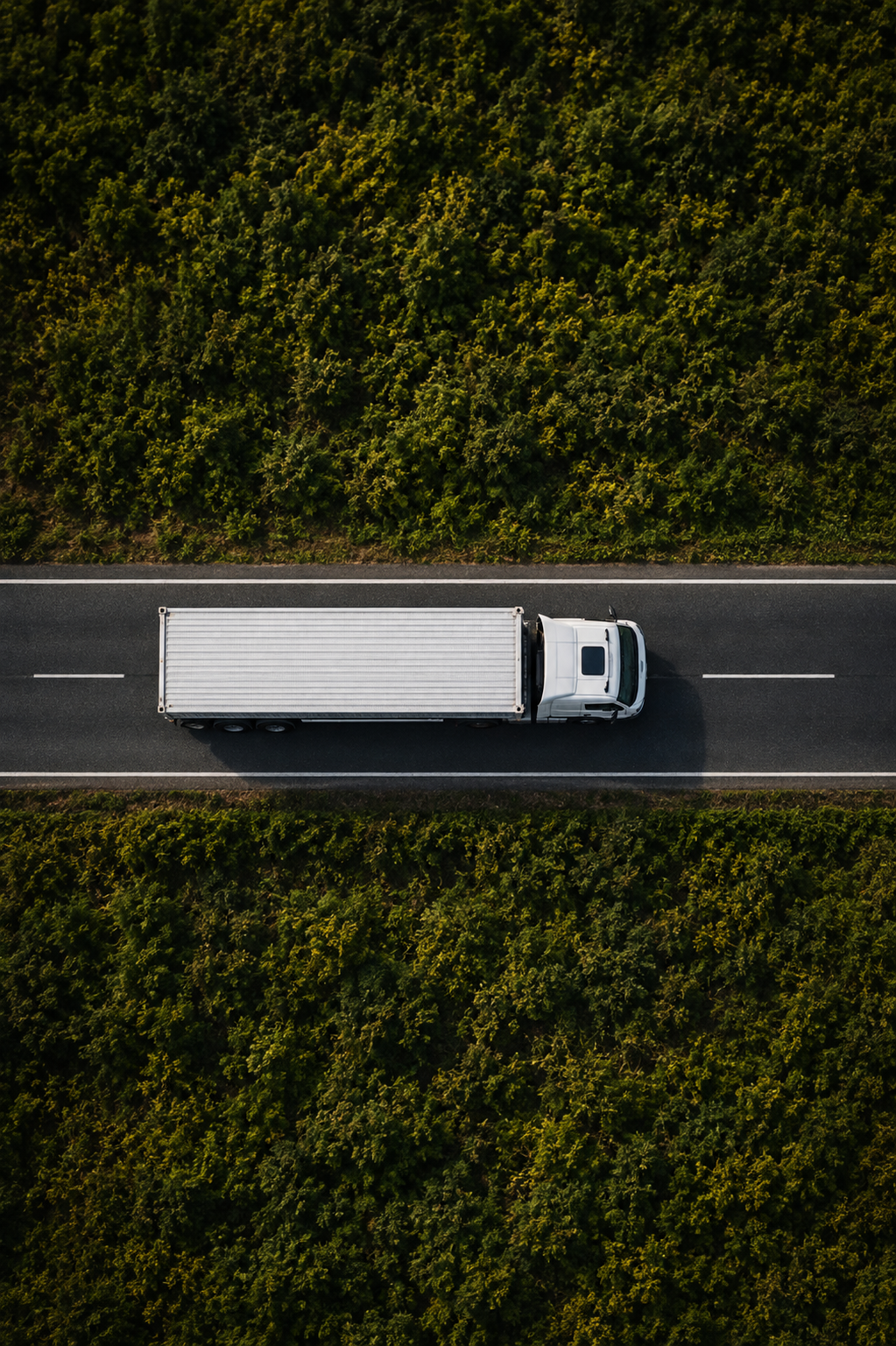 Pharmaceutical export logistics from China